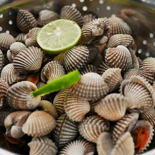 Seafood Laguna Restaurant Ampenan