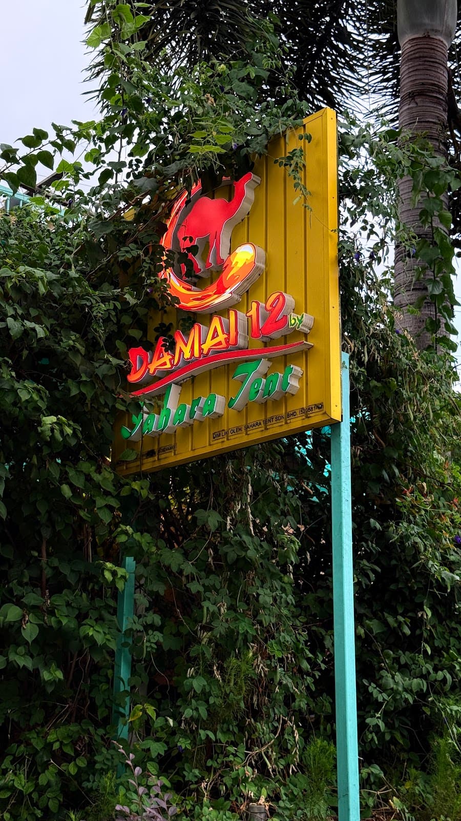 Damai 12 by Sahara Tent